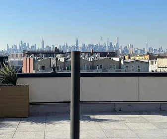 Apartamento inteiro em residência em 987 Willoughby Avenue,  1C, Bushwick, New York, NY, 11221, imagem 8 de 17