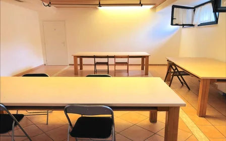 Chambre privée à Via Alessandro Brisse, image 19 de 38