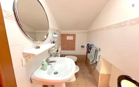 Chambre privée à Via Alessandro Brisse, image 25 de 38