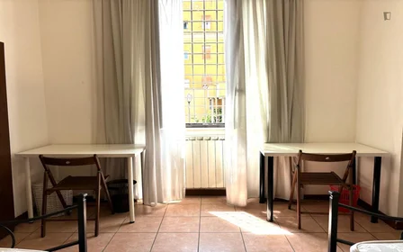 Chambre privée à Via Alessandro Brisse, image 4 de 38