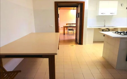 Chambre privée à Via Alessandro Brisse, image 37 de 38