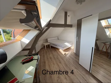 Quarto privado em Rue Henri Carette, imagem 19 de 20