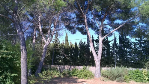 Alojamiento entero en Chemin du Marin, imagen 14 de 14