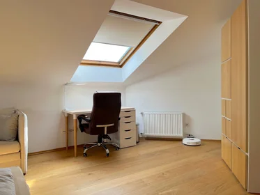 Chambre privée à Adolf-Rausch-Straße, image 11 de 25