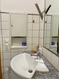Chambre privée à Adolf-Rausch-Straße, image 18 de 25