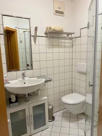 Chambre privée à Adolf-Rausch-Straße, image 19 de 25