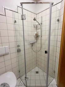 Chambre privée à Adolf-Rausch-Straße, image 20 de 25