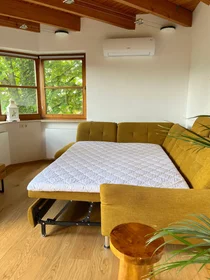 Chambre privée à Adolf-Rausch-Straße, image 6 de 25