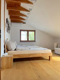 Chambre privée à Adolf-Rausch-Straße, image 9 de 25