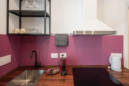 Quarto privado em Via Cristoforo Cancellieri, imagem 2 de 18