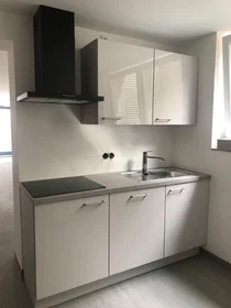 Habitación privada en Ringstraße, imagen 4 de 11