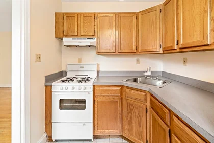 Kawalerka w rezydencji 395, Broadway, Unit R3B, Mid Cambridge, Cambridge, MA, 02139, obraz 9 16
