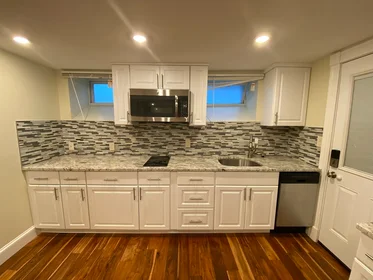 Całe miejsce w rezydencji 16, Crescent Ave., Unit B, Dorchester, Boston, MA, 02125, obraz 13 28