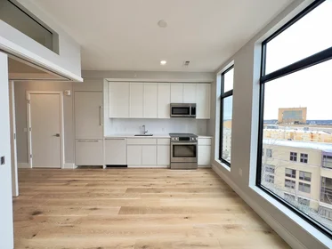 Logement entier à 191, Washington St., Unit 711, Brighton, Boston, MA, 02135, image 1 de 10