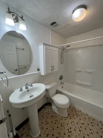Appartamento intero in residence in 94, Beacon St., Unit 14, Inman Square, Somerville, MA, 02143, immagine 24 di 40