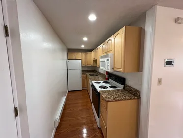 Appartamento intero in residence in 94, Beacon St., Unit 14, Inman Square, Somerville, MA, 02143, immagine 25 di 40