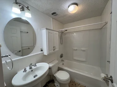 Appartamento intero in residence in 94, Beacon St., Unit 14, Inman Square, Somerville, MA, 02143, immagine 31 di 40