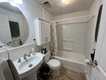 Appartamento intero in residence in 94, Beacon St., Unit 14, Inman Square, Somerville, MA, 02143, immagine 38 di 40