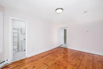 Logement entier en résidence à 12, Kilby St., Unit 2L, Union Square, Somerville, MA, 02143, image 12 de 17