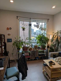 Entire apartment in residence at 3193, Washington St., Unit PH6, Jamaica Plain, Boston, MA, 02130, image 6 of 19