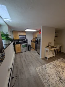 Entire apartment in residence at 110, Lanark Rd., Unit 15, Brighton, Boston, MA, 02135, image 12 of 17