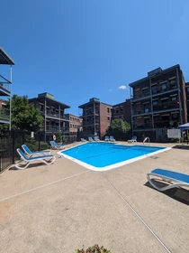 Entire apartment in residence at 110, Lanark Rd., Unit 15, Brighton, Boston, MA, 02135, image 17 of 17