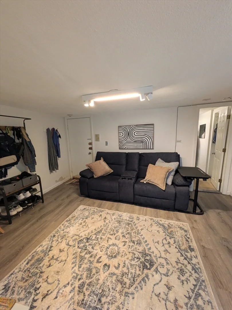110, Lanark Rd., Unit 15, Brighton, Boston, MA, 02135