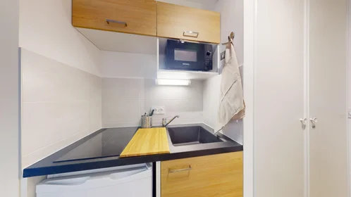 Stanza privata in 17 Rue de la Fauconnerie, 49100 ANGERS, immagine 1 di 10