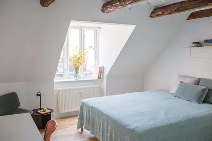 Quarto privado em Copenhagen, Denmark, imagem 3 de 18