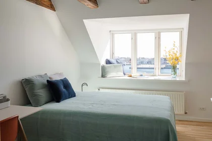 Quarto privado em Copenhagen, Denmark, imagem 1 de 16