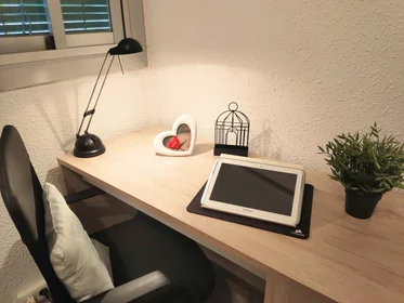 Quarto privado em Carrer Vista Alegre, 46100 Burjassot, Valencia, Spain, imagem 4 de 28