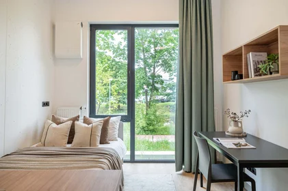 Stanza privata in Jelgavas iela 8, Zemgales priekšpilsēta, Rīga, LV-1004, Latvia, immagine 1 di 41