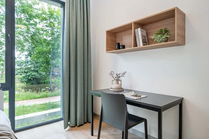 Stanza privata in Jelgavas iela 8, Zemgales priekšpilsēta, Rīga, LV-1004, Latvia, immagine 6 di 41