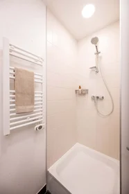 Stanza privata in Jelgavas iela 8, Zemgales priekšpilsēta, Rīga, LV-1004, Latvia, immagine 7 di 41