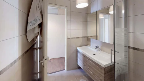 Chambre privée à 7 Rue des Teinturiers, 69100 Villeurbanne, France, image 4 de 15