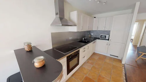 Chambre privée à 7 Rue des Teinturiers, 69100 Villeurbanne, France, image 5 de 15