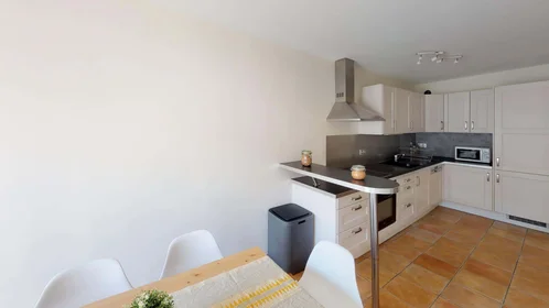 Chambre privée à 7 Rue des Teinturiers, 69100 Villeurbanne, France, image 9 de 15