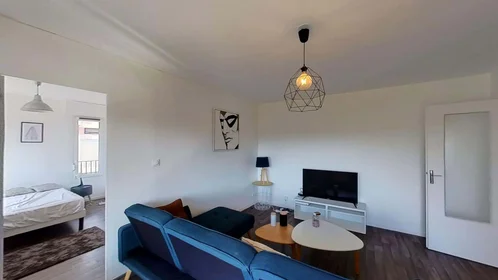 Stanza privata in 17 Rue des Mesoyers, 57050 Metz, France, immagine 8 di 22