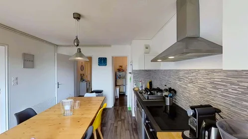 Stanza privata in 17 Rue des Mesoyers, 57050 Metz, France, immagine 9 di 22