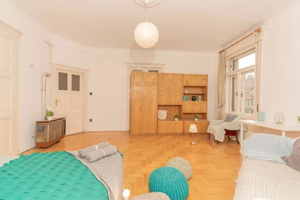 Private room at Budapest, Rákóczi út 73-4 emelet /5, 1081 Hungary, image 4 of 23
