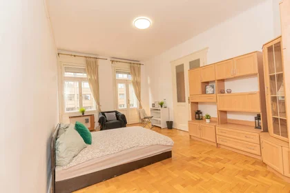 Private room at Budapest, Rákóczi út 73-4 emelet /5, 1081 Hungary, image 4 of 24