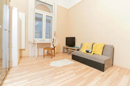 Private room at Budapest, Kazinczy u. 5-em/22, 1075 Hungary, image 3 of 19