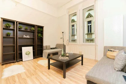 Private room at Budapest, Kazinczy u. 5-em/22, 1075 Hungary, image 2 of 19