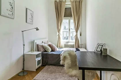 Quarto privado em Budapest, Teréz krt. 29-em/27, 1067 Hungary, imagem 1 de 15