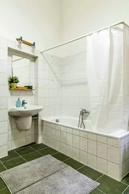 Quarto privado em Budapest, Teréz krt. 29-em/27, 1067 Hungary, imagem 13 de 15
