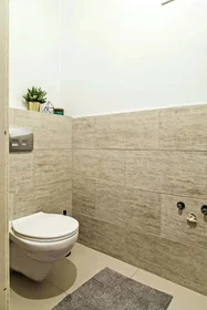 Quarto privado em Budapest, Teréz krt. 29-em/27, 1067 Hungary, imagem 4 de 15