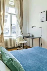 Quarto privado em Budapest, Teréz krt. 29-em/27, 1067 Hungary, imagem 13 de 16