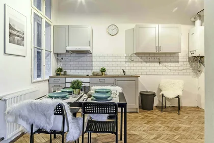 Quarto privado em Budapest, Teréz krt. 29-em/27, 1067 Hungary, imagem 6 de 16