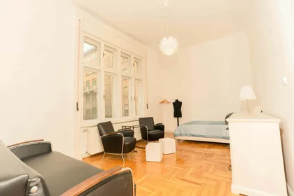 Prywatny pokój Budapest, Balzac u. 8-em 3a, 1136 Hungary, obraz 1 35