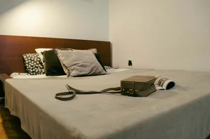 Private room at Budapest, Király u. 98b-em /14, 1068 Hungary, image 30 of 39